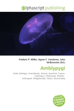 Amblypygi