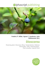 Dioscorea