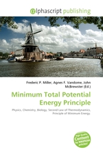 Minimum Total Potential Energy Principle