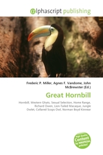 Great Hornbill