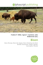 Bison