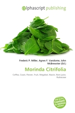 Morinda Citrifolia