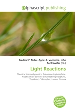 Light Reactions