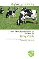 Dairy Cattle