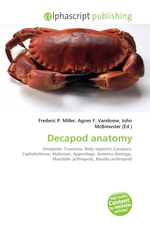 Decapod anatomy