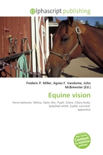 Equine vision