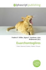 Euarchontoglires