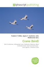 Crane (bird)