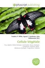 Cellule Vegetale