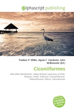 Ciconiiformes