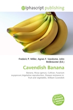 Cavendish Banana