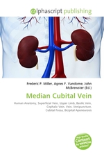 Median Cubital Vein