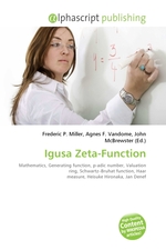 Igusa Zeta-Function