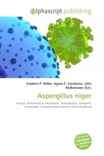 Aspergillus niger