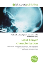 Lipid bilayer characterization