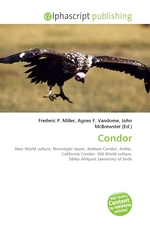 Condor