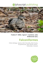 Falconiformes