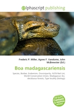 Boa madagascariensis