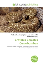 Crotalus Cerastes Cercobombus