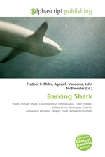 Basking Shark