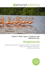 Hesperornis