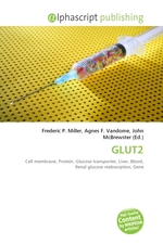 GLUT2