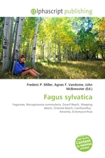 Fagus sylvatica