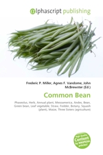 Common Bean