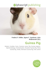 Guinea Pig