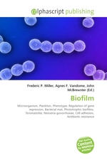 Biofilm