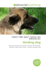 Herding dog