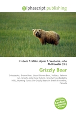 Grizzly Bear