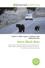 Asian Black Bear