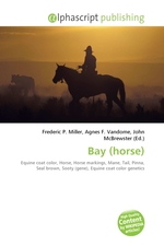 Bay (horse)