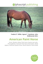 American Paint Horse