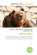 Brown Bear