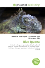 Blue Iguana