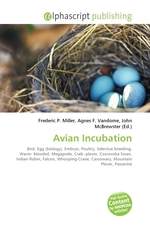 Avian Incubation