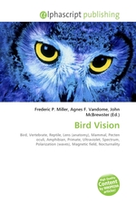 Bird Vision