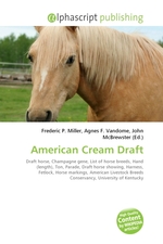 American Cream Draft