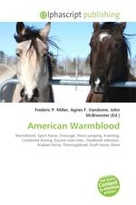 American Warmblood