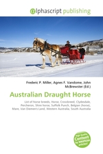 Australian Draught Horse