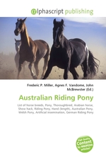 Australian Riding Pony