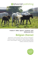 Belgian (horse)