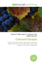 Concord (Grape)