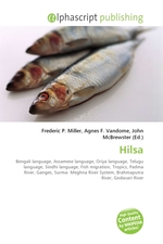 Hilsa