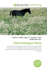 Chincoteague Pony