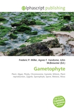 Gametophyte